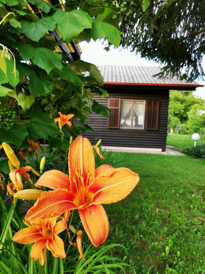 Merikotka - A Cozy Wooden Cottage, Slovenia Braslovce Экстерьер фото