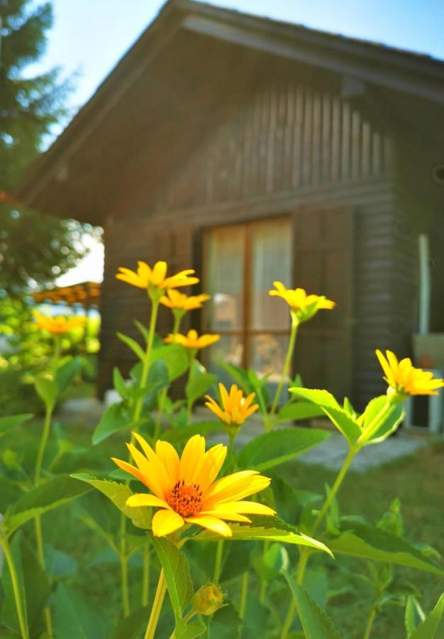 Merikotka - A Cozy Wooden Cottage, Slovenia Braslovce Экстерьер фото