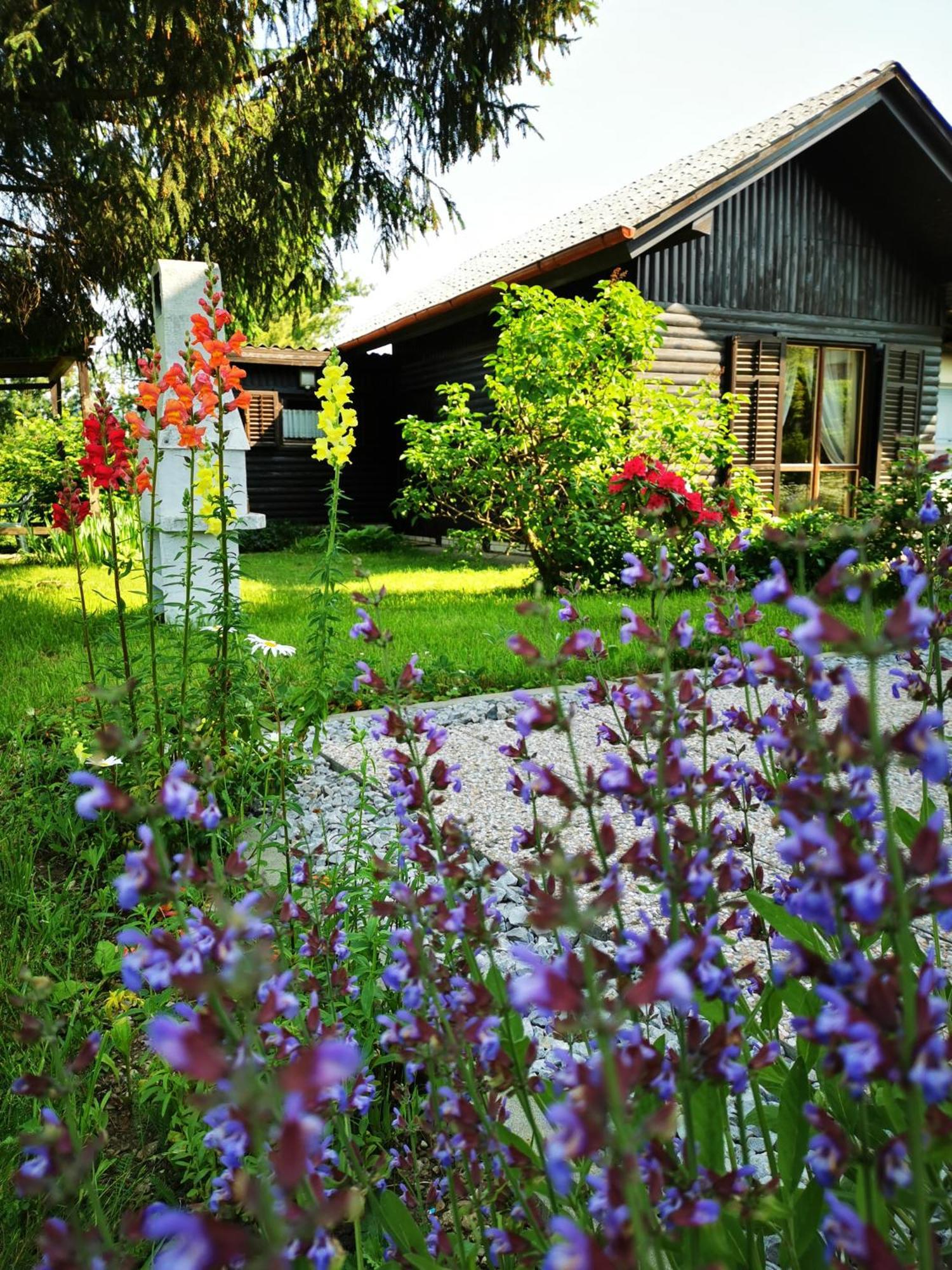 Merikotka - A Cozy Wooden Cottage, Slovenia Braslovce Экстерьер фото