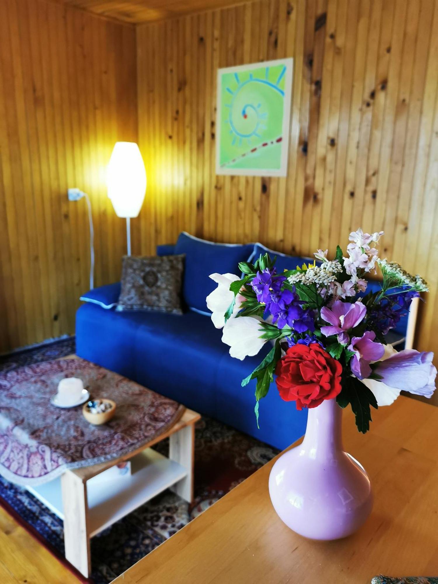 Merikotka - A Cozy Wooden Cottage, Slovenia Braslovce Экстерьер фото