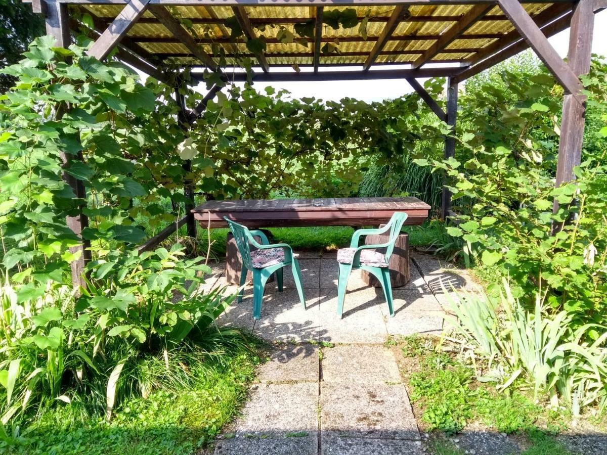Merikotka - A Cozy Wooden Cottage, Slovenia Braslovce Экстерьер фото