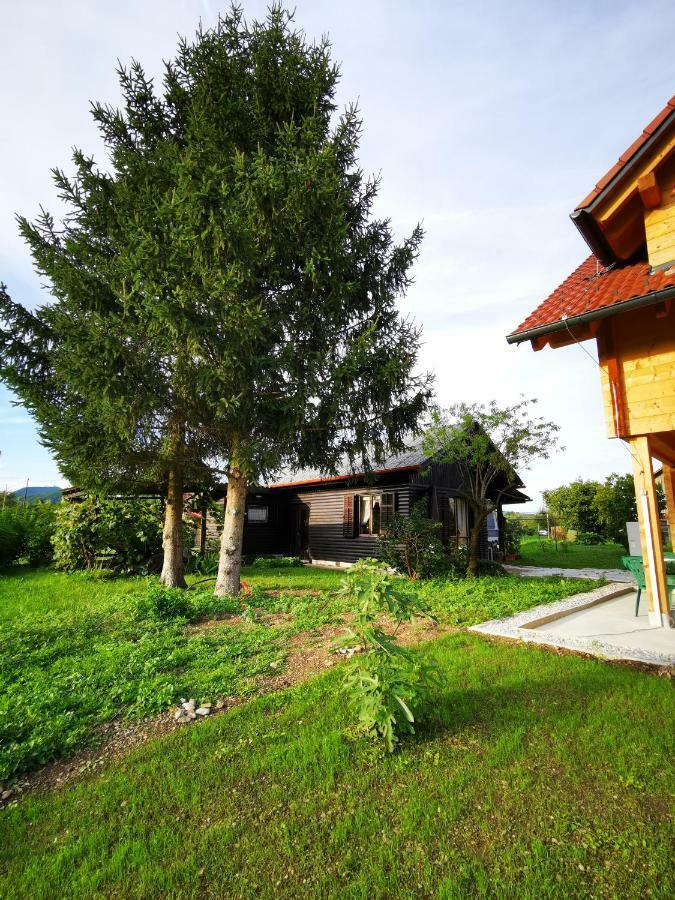 Merikotka - A Cozy Wooden Cottage, Slovenia Braslovce Экстерьер фото