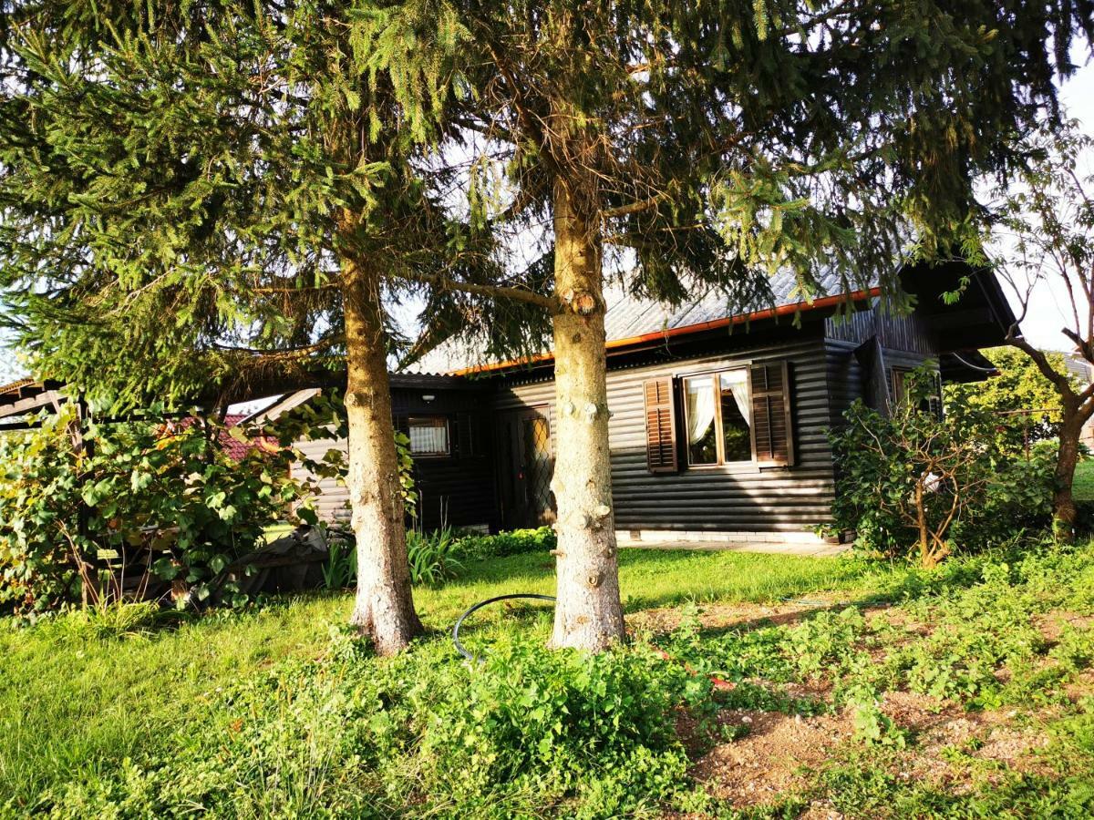 Merikotka - A Cozy Wooden Cottage, Slovenia Braslovce Экстерьер фото